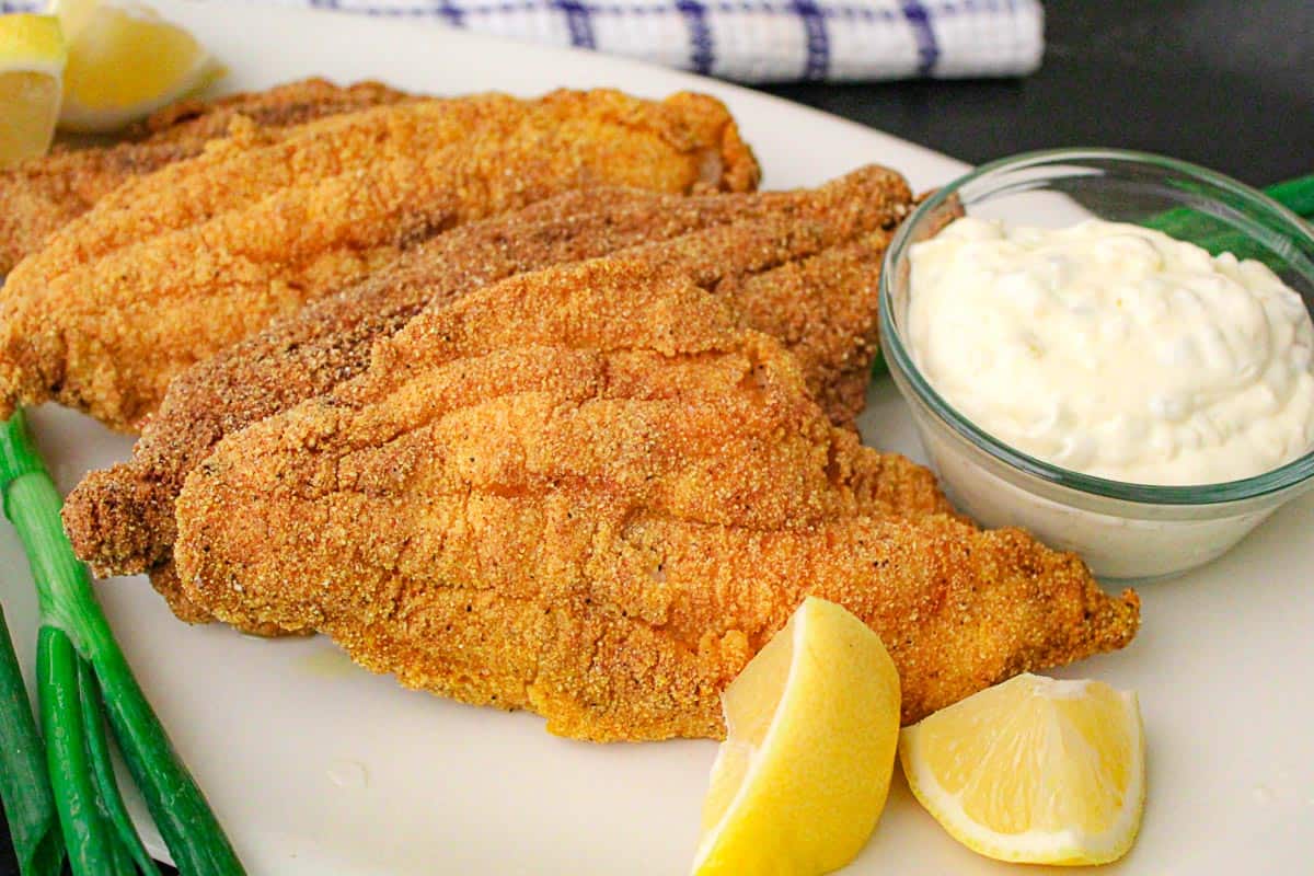 southern fried catfish recipe - Article 2